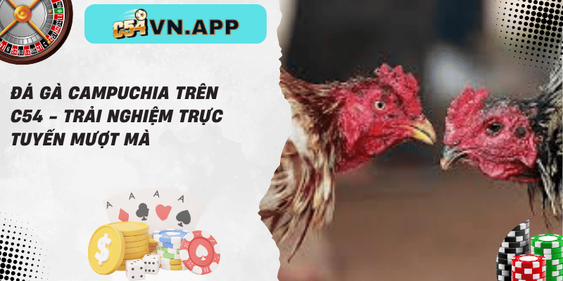 Đá gà campuchia trên c54 - trải nghiệm trực tuyến mượt mà