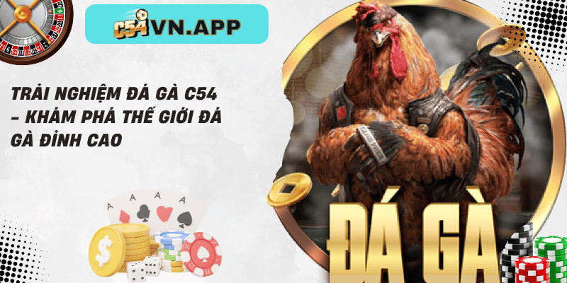 Trải nghiệm đá gà c54 - khám phá thế giới đá gà đỉnh cao